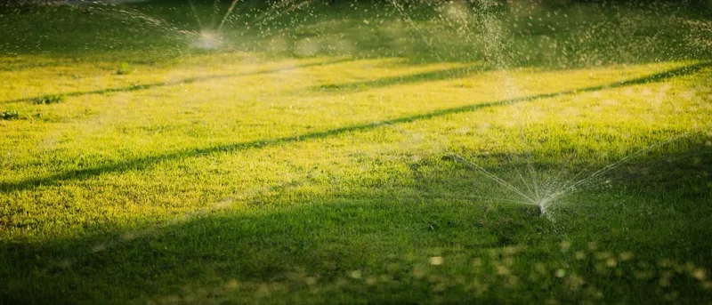 Sprinkler & Irrigation